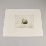 1325 3427 COLOR ETCHINGS